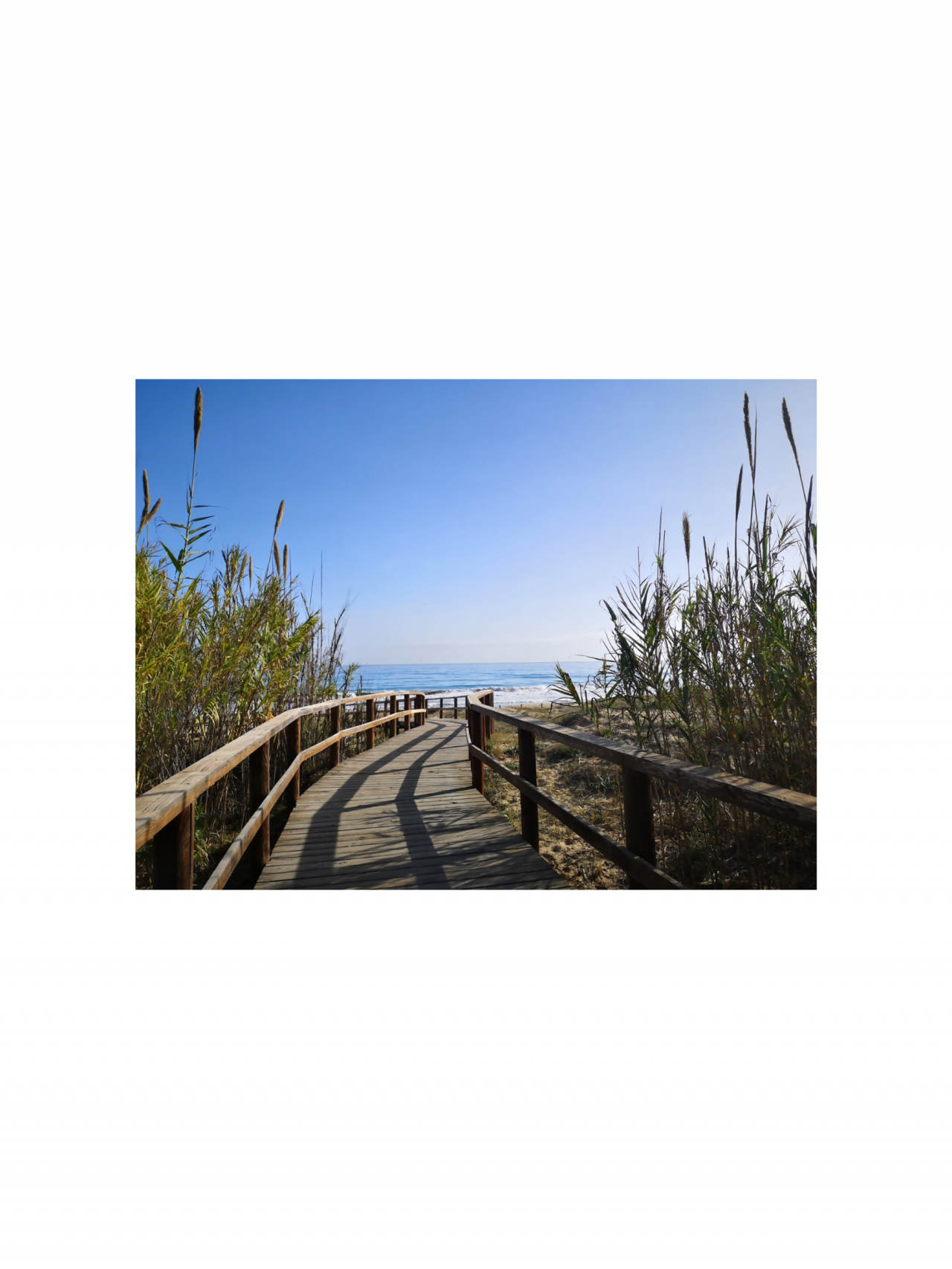 Foto 17 de MIRASOL eme de Maison El Ático