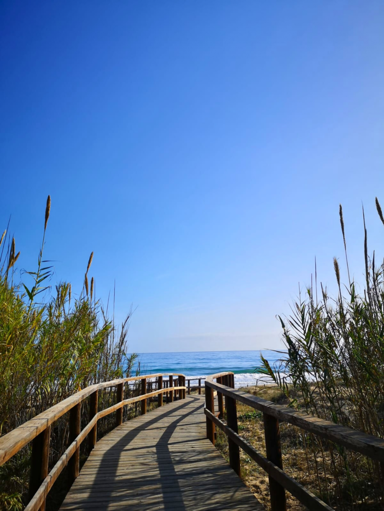 Foto 18 de MIRASOL eme de Maison El Ático